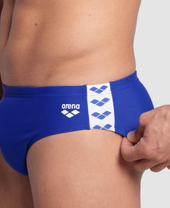 Men Arena Icons Swim Briefs Solid